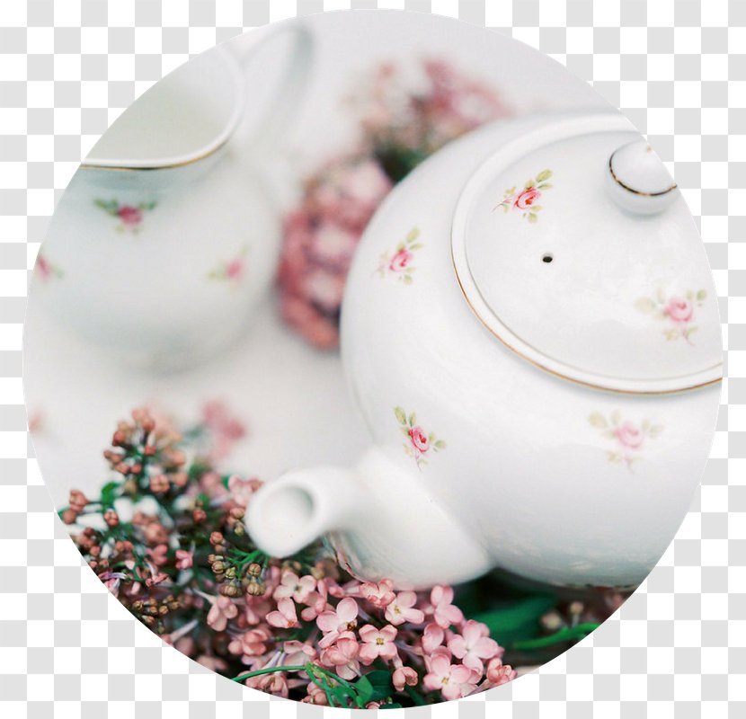 Plate Saucer Porcelain Cup - Tableware - Vanilla Pod Transparent PNG