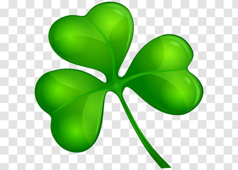 Shamrock Clip Art - Flowering Plant - Clover Transparent PNG