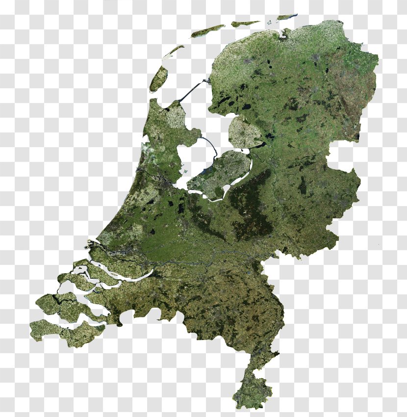 Flag Of The Netherlands World Map - Grass Transparent PNG