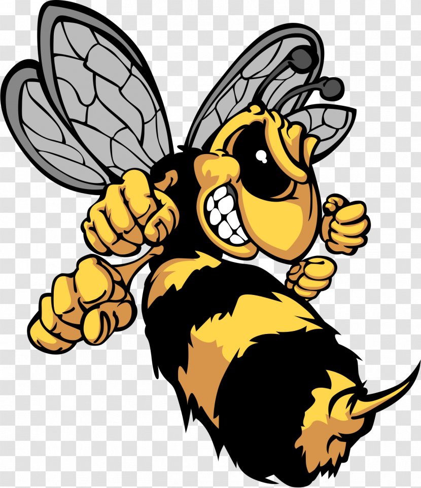 Bee Hornet Insect Yellowjacket - Characteristics Of Common Wasps And Bees - Bumble Transparent PNG