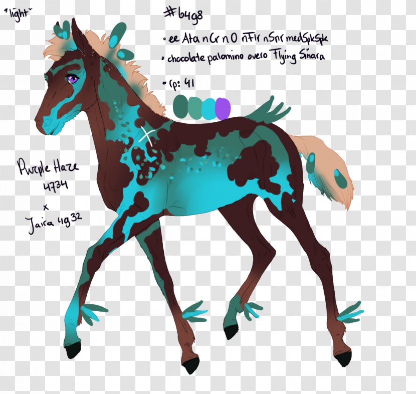 Foal Drawing Pony Stallion Art - Halter - Lion Dance Transparent PNG