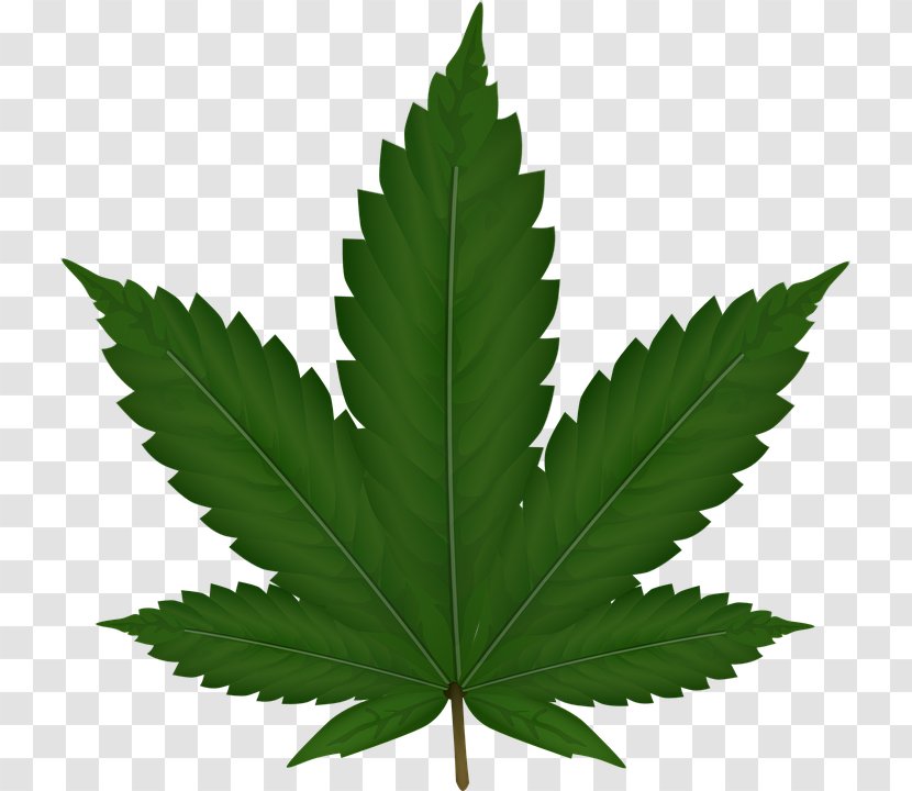 Cannabis Sativa Leaf Clip Art - Hemp Family Transparent PNG