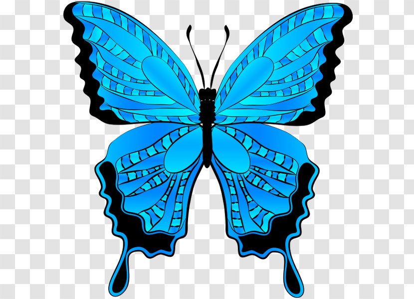 Butterfly Menelaus Blue Morpho Clip Art - Insect Transparent PNG