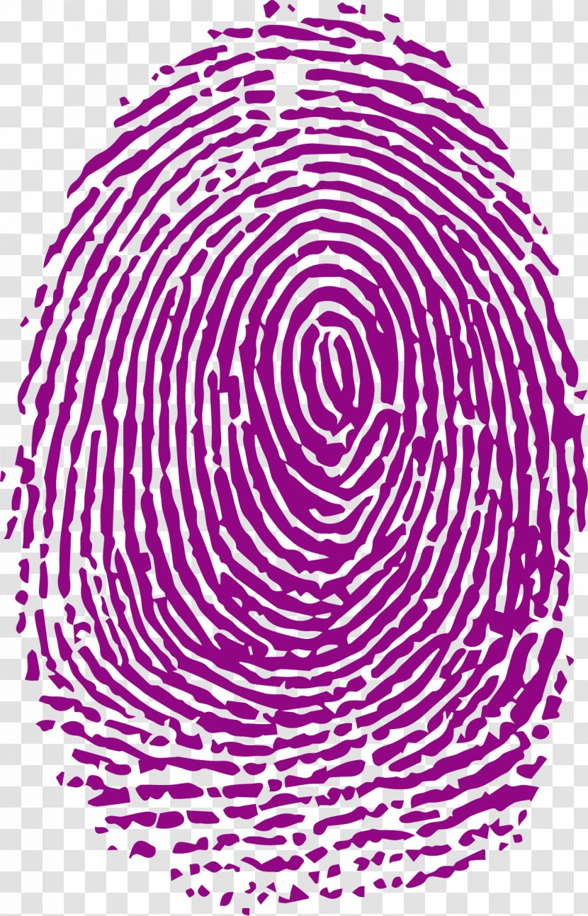 Fingerprint Forensic Science Analysis - Anthropology - Purple Fingerprints Transparent PNG