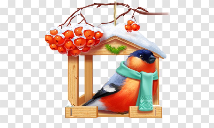 Bird Nest Box Clip Art - Feeders - Bullfinch Transparent PNG