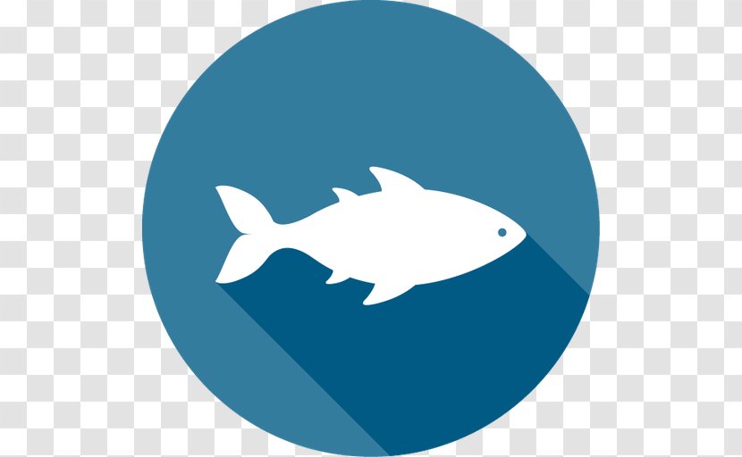 Fish Vector Graphics Seafood - Whales Dolphins And Porpoises - Airplane Transparent PNG