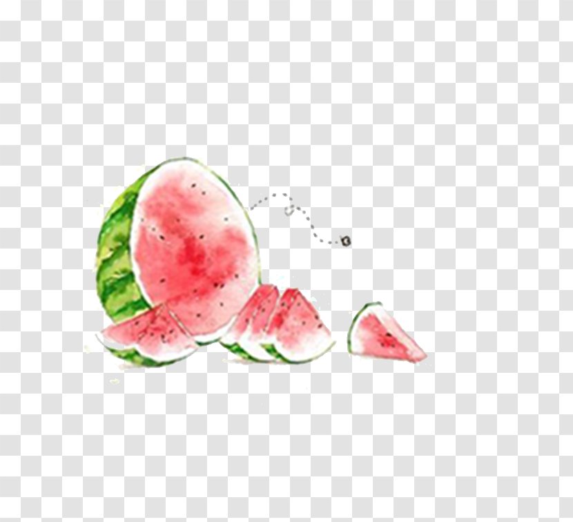 Watermelon Watercolor Painting Summer Illustration - Oil Paint - Watermelon,Gouache Transparent PNG