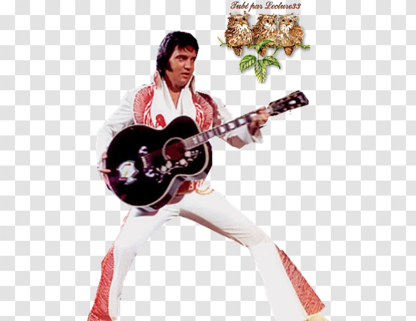 Slide Guitar Elvis, The Pelvis ! Sitar - Frame Transparent PNG
