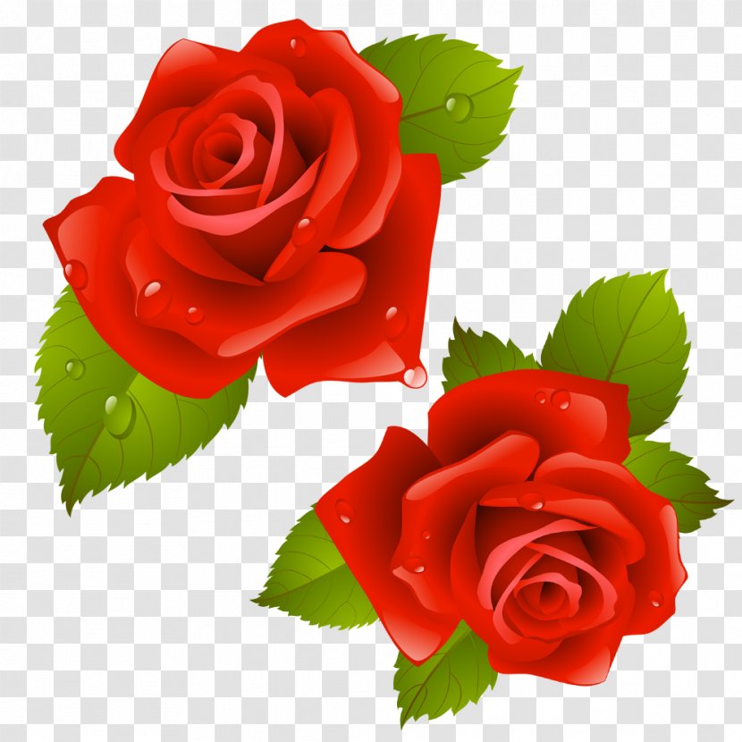Beach Rose Flower Image Design - Floribunda - Pretty Transparent PNG