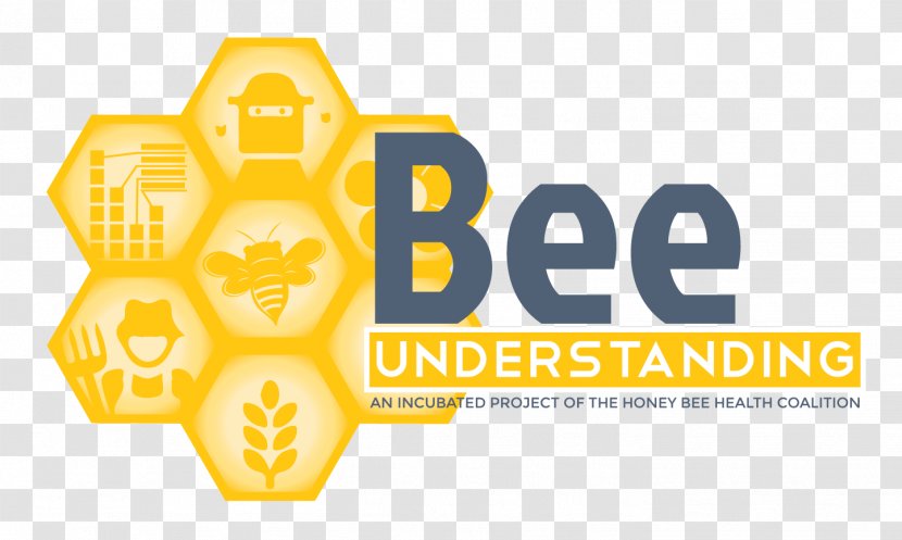 Bee Honeycomb - Honey Transparent PNG