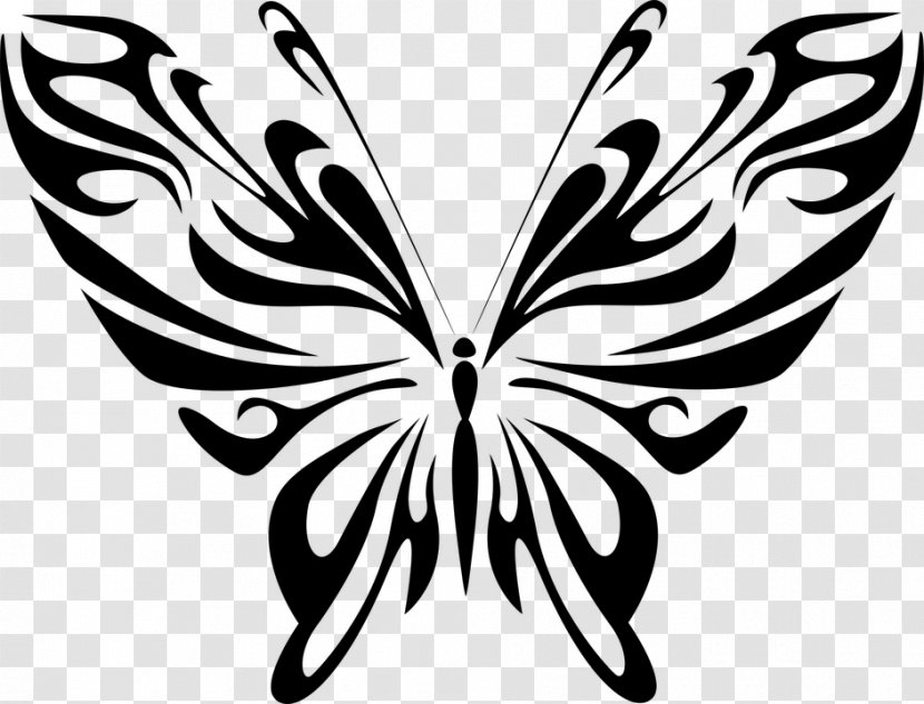 Butterfly Stencil - Wing - Plant Symmetry Transparent PNG