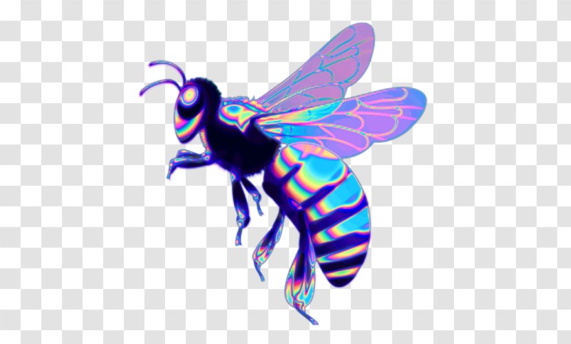 Western Honey Bee Insect Beehive - Pest Transparent PNG