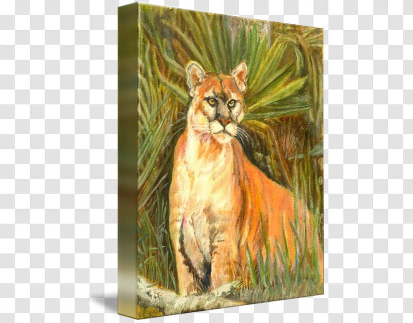 Cougar Tiger Whiskers Watercolor Painting Puma - Florida Panther Transparent PNG
