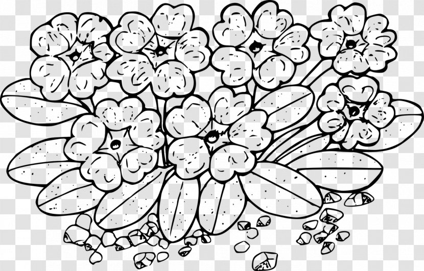 Coloring Book Wildflower Drawing - Flower Transparent PNG