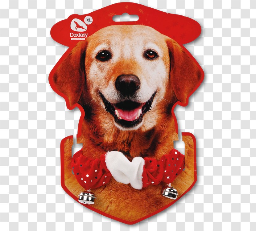 Golden Retriever Labrador Puppy Christmas Basset Hound - Collar Transparent PNG