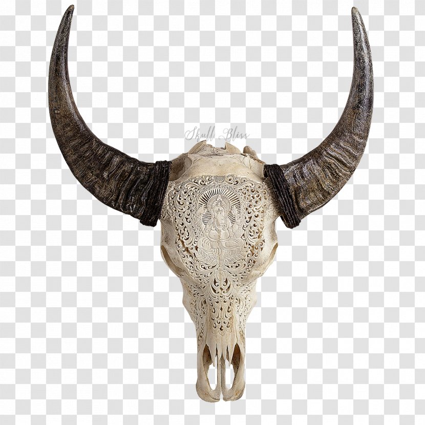 Human Skull Symbolism Horn American Bison Cattle - Head Transparent PNG