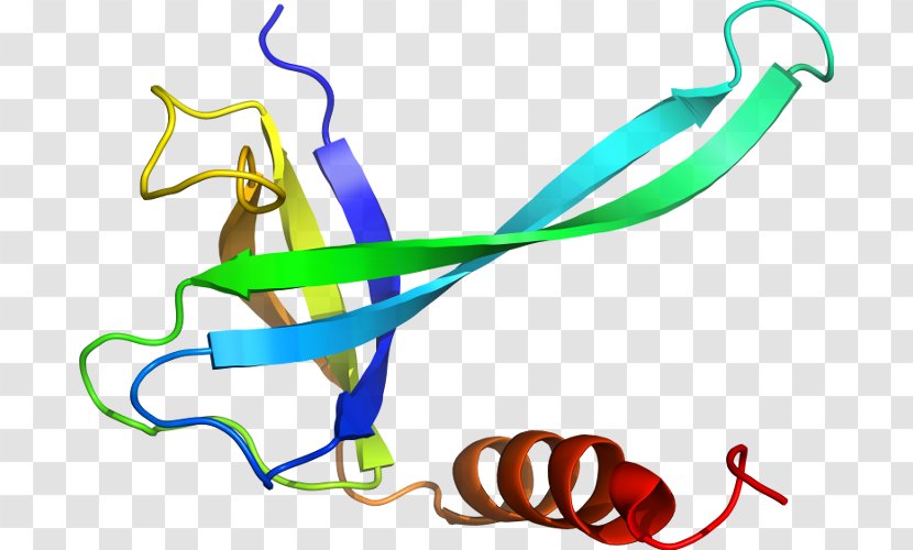 Clip Art Product Design Plant Stem Line - Ubiquinol Transparent PNG