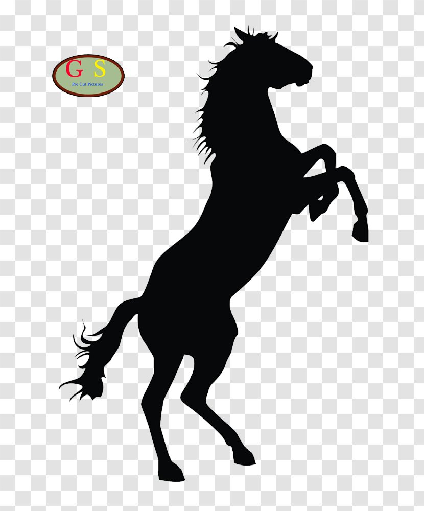 Horse Foal Silhouette Clip Art - Mane Transparent PNG