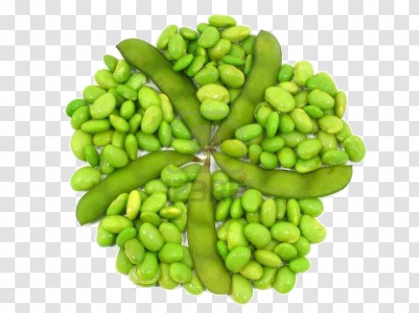 Edamame Soy Milk Soybean Protein Nutrition - Soya Transparent PNG