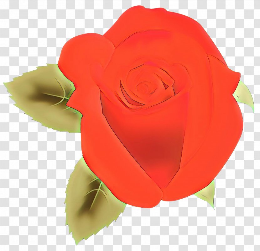Pink Flower Cartoon - Garden Roses - Perennial Plant Hybrid Tea Rose Transparent PNG