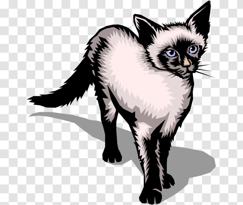 Siamese Cat Clip Art Vector Graphics Image Illustration - Realistic Animation Transparent PNG