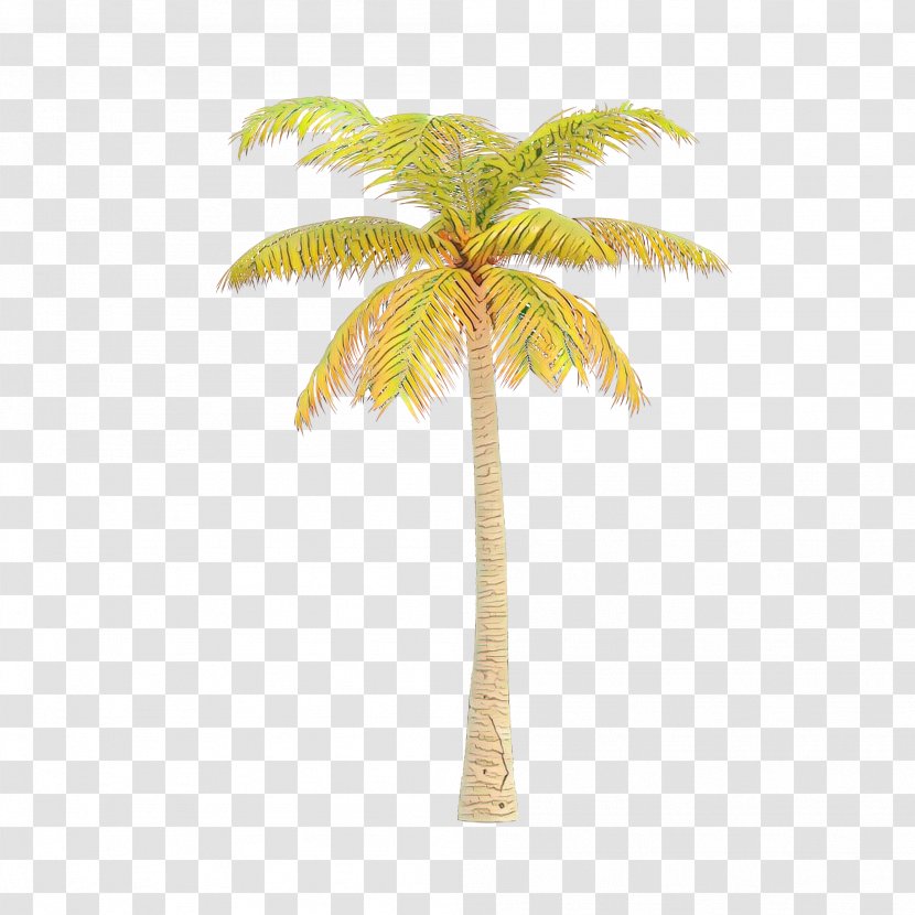 Palm Tree - Desert Roystonea Transparent PNG