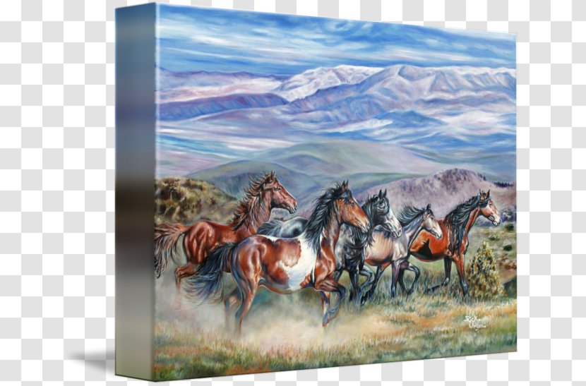 Mustang Stallion Steppe Ranch Painting Transparent PNG