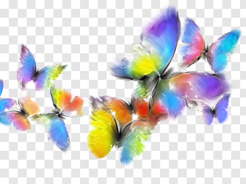 Awaken Chrysalis Room Butterflies And Moths Painting Child - Colorful Butterfly Transparent PNG