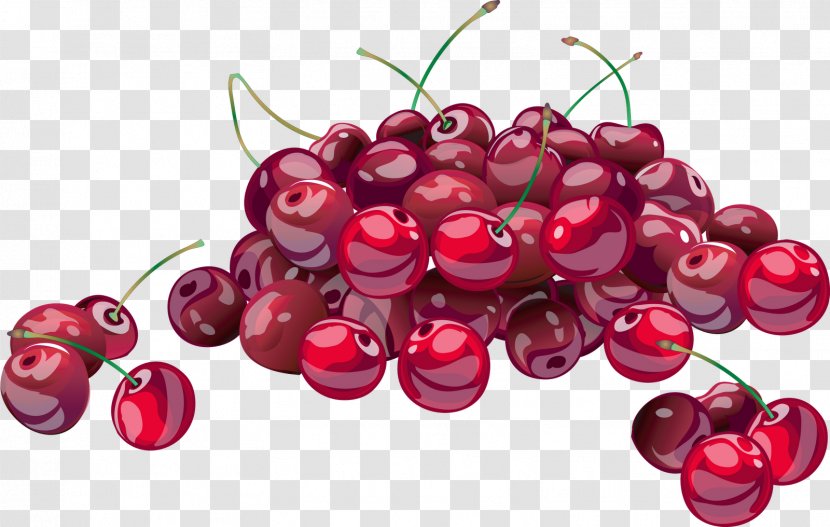 Sour Cherry Cherries Jubilee Fruit Strawberry - Superfood - Fruits Transparent PNG