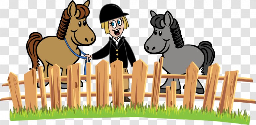 Horse Equestrian Pony Clip Art - English Riding Transparent PNG