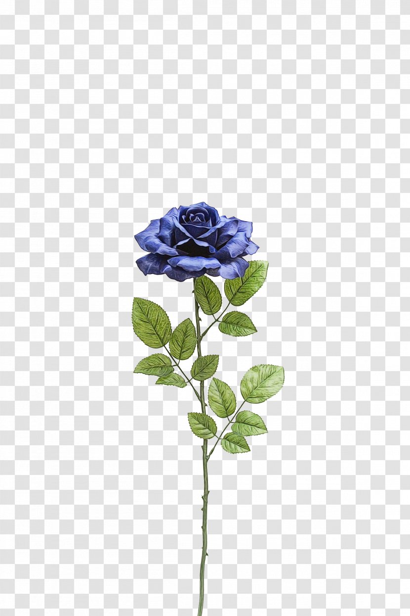 Blue Rose - Wet Ink - Petal Violet Transparent PNG
