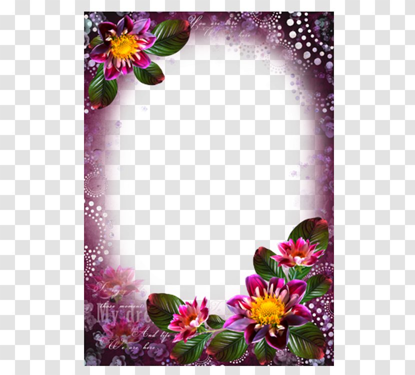 Picture Frames Photography Colorful Flowers - Stock Transparent PNG