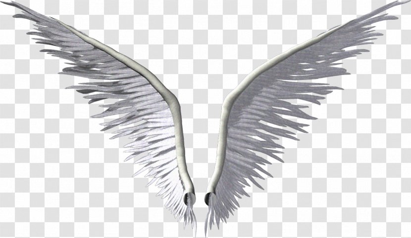 Wing Angel Clip Art - Wings Transparent PNG