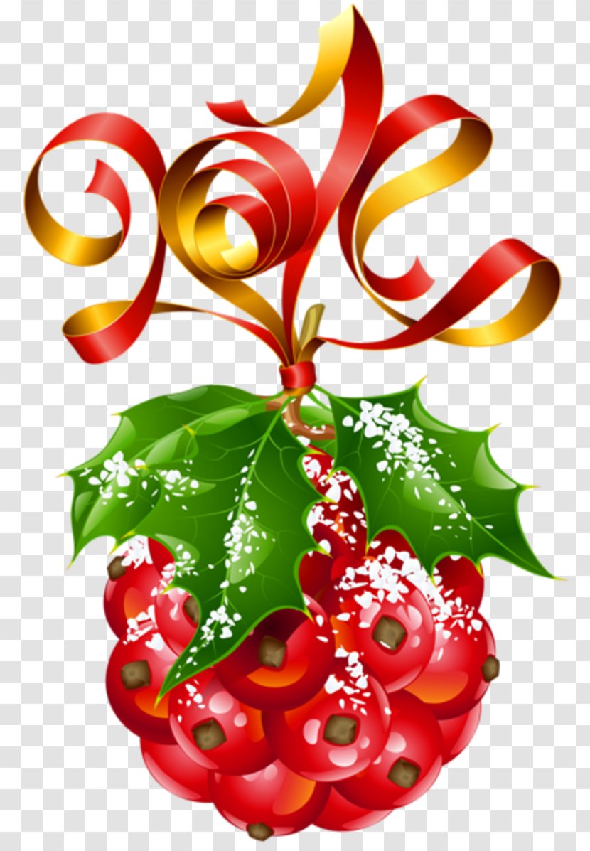 New Year Vector Graphics Christmas Day Ornament Illustration - Flower - De Nuevo Transparent PNG