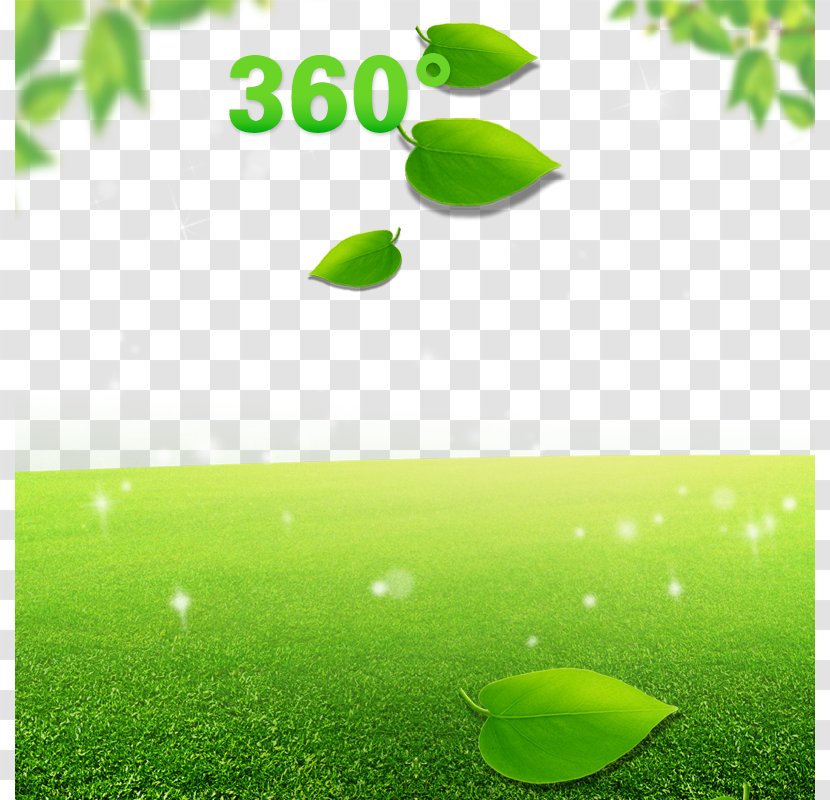 Shorts Leggings Tmall Taobao - Plant - Green Leaves, Trees, Grass, Background Transparent PNG
