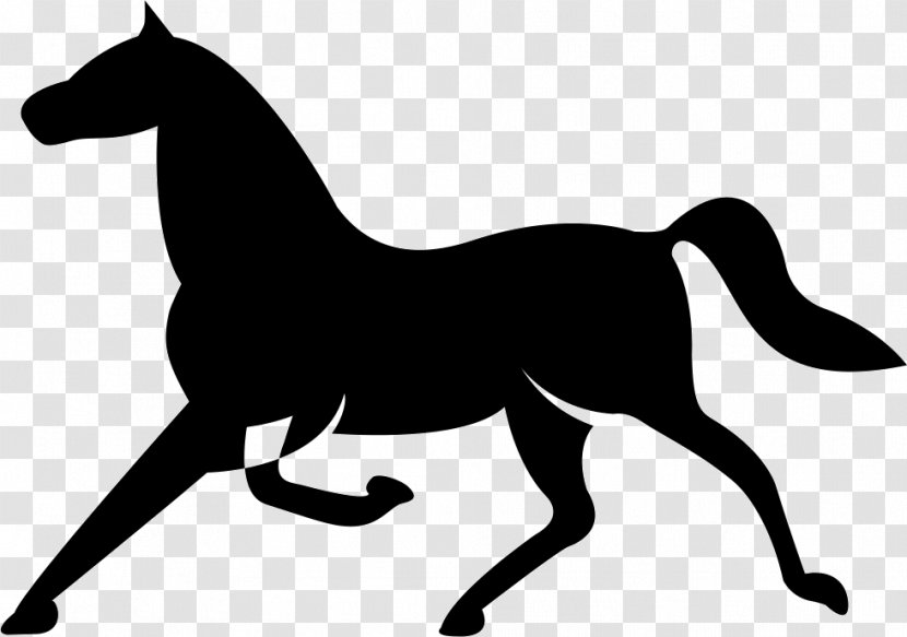 Arabian Horse Friesian Andalusian Stallion Black - Wildlife Transparent PNG