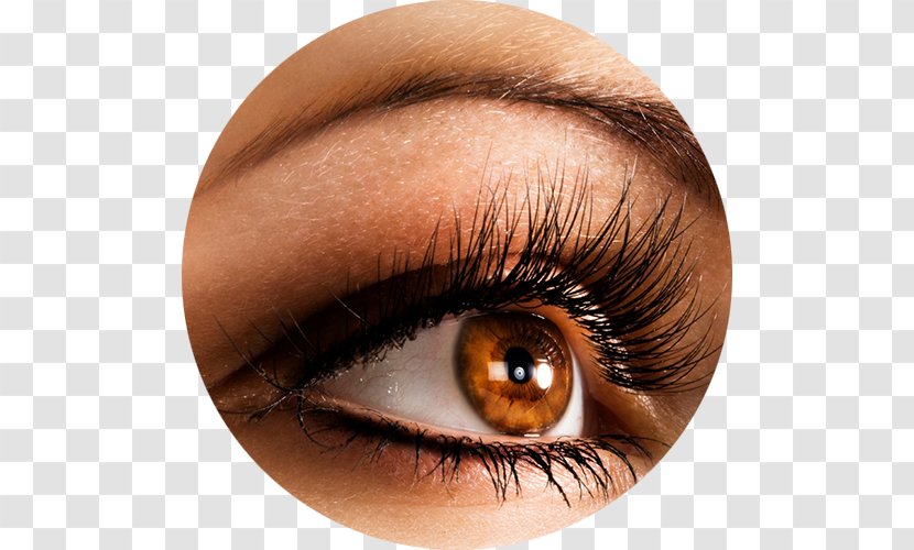 Eyelash Extensions Artificial Hair Integrations Beauty Parlour Cosmetics - Mascara - Eyelashes Transparent PNG