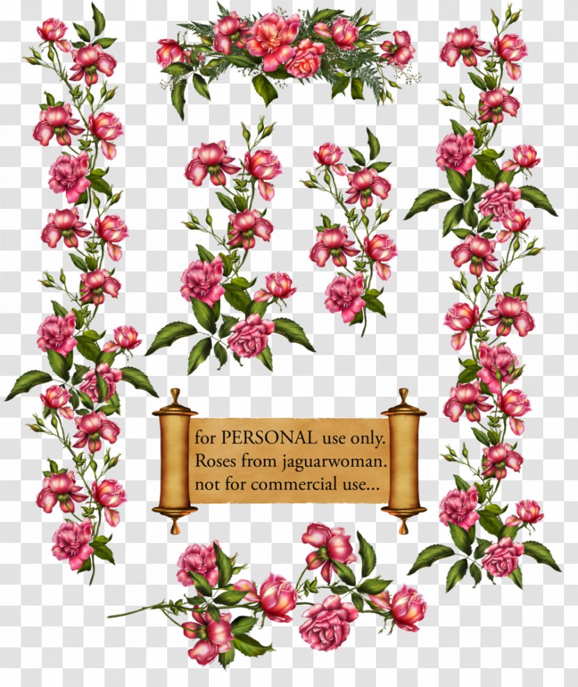 Rose Vine Drawing Clip Art - Flora - Cliparts Transparent PNG