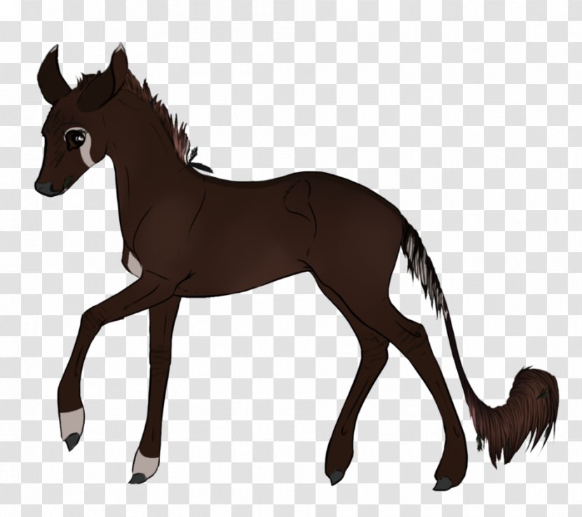 Foal Mustang Colt Stallion Mare - Pack Animal Transparent PNG