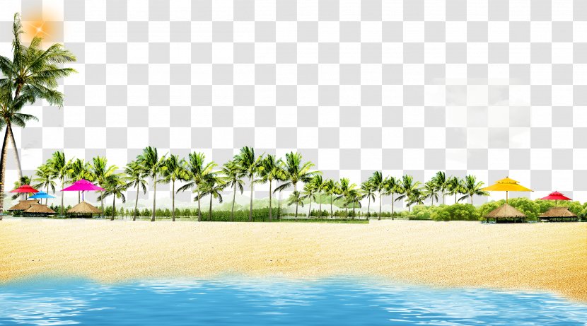 Beach Coast Poster - Tree - Summer Coconut Grove Play Background Transparent PNG