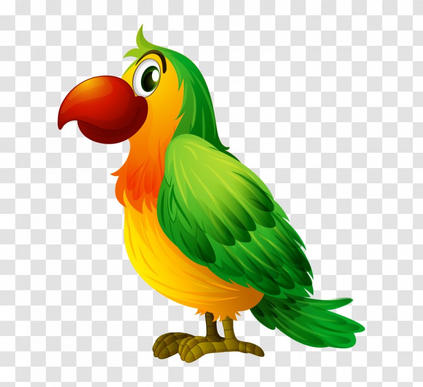 Bird Parrot Illustration - Lovebird - Cartoon Hand Colored Side Transparent PNG