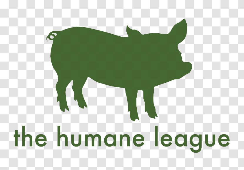 The Humane League Charitable Organization Animal Rights Non-profit Organisation - Pig - Vegan Outreach Transparent PNG