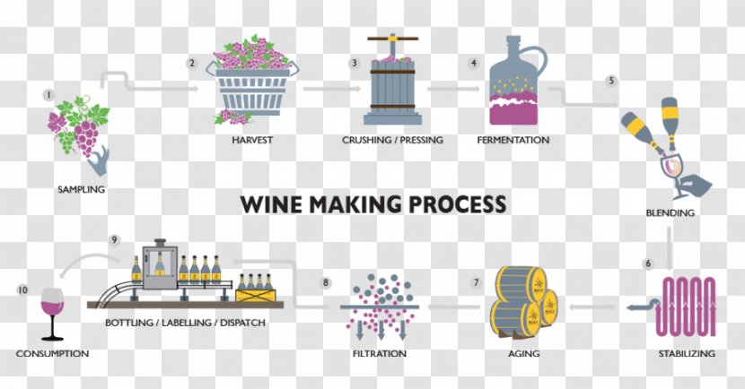 Winemaking Sula Vineyards Indian Wine Red - Area - Production Process Transparent PNG