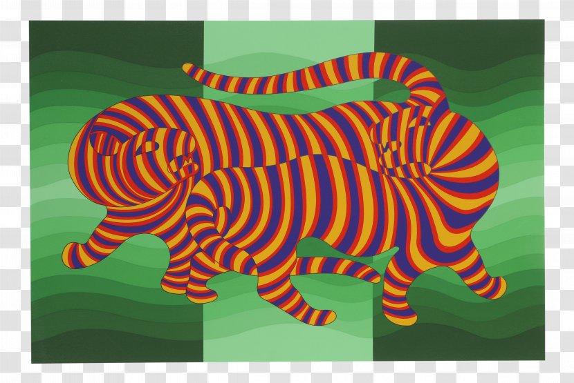 Zebra Supernovae Dombor Op Art - Museum Transparent PNG