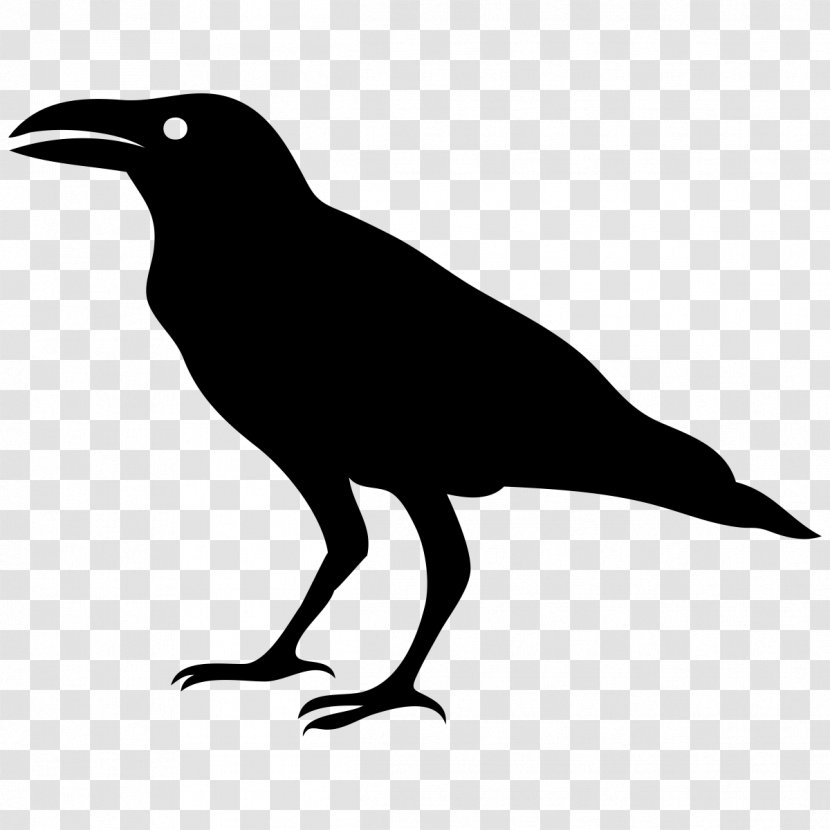 Art Rhetoric - Research - Crow Transparent PNG
