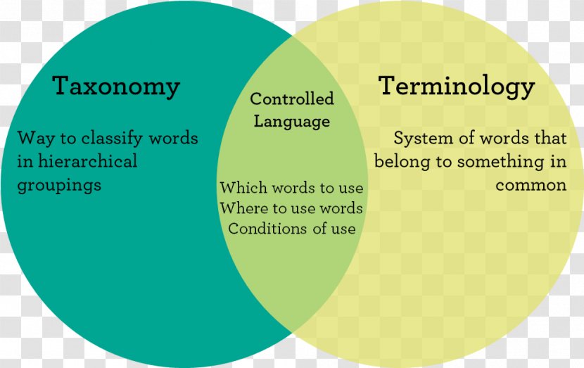 Controlled Vocabulary Dictionary Taxonomy Word - Terminolog - Blog Transparent PNG