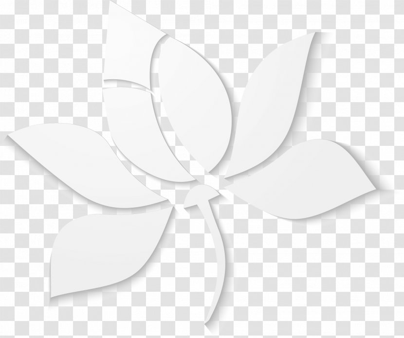 Leaf Angle - Petal - Flat White Lotus Transparent PNG