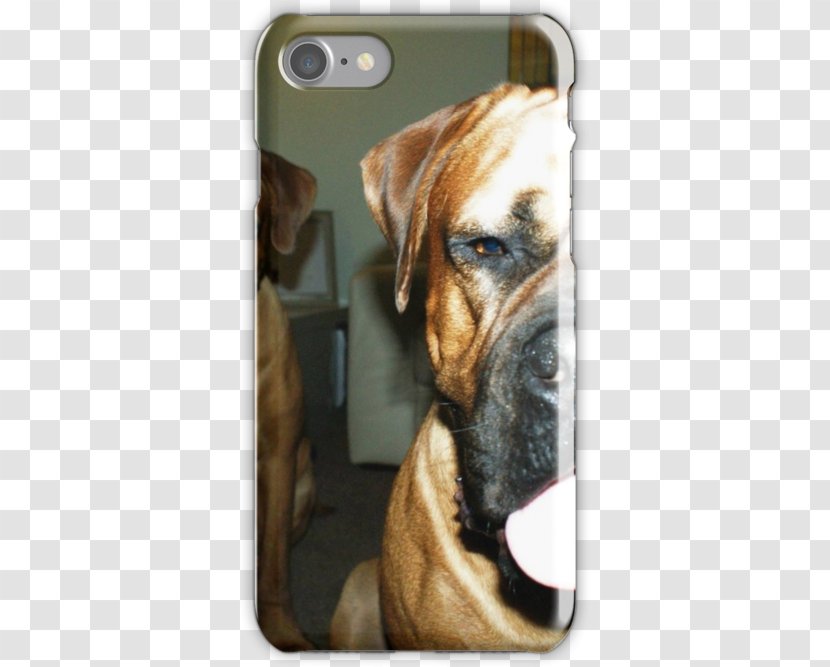 Bullmastiff Boerboel Boxer Rhodesian Ridgeback Broholmer - Puppy Transparent PNG