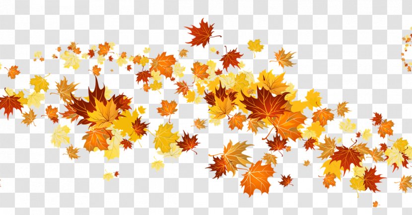 Clip Art Autumn Leaf Color Image Autumnal Leaves - Petal Transparent PNG