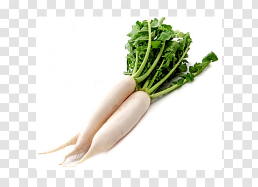 Daikon Dal Root Vegetables Food - Local - Carrots Transparent PNG